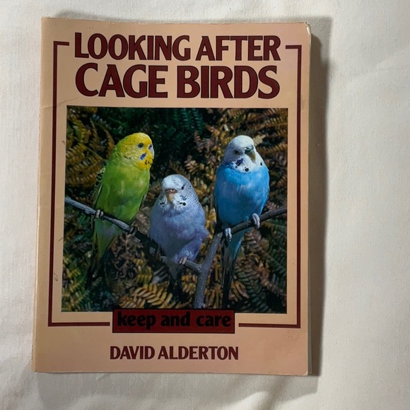 The Parrotlet Handbook, Looking After Caged Birds & Budgies as a new pet - Picture 4 of 12